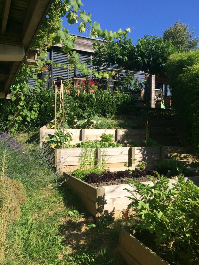 Les Terrasses De Rochetaillee Bed & Breakfast Екстериор снимка